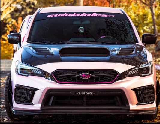 Team Subiechick Banner